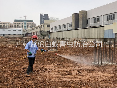 芳村基礎(chǔ)白蟻預(yù)防工程